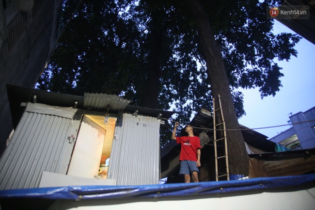 Lạ kỳ hàng cây cổ thụ trăm tuổi mọc xuyên nhà dân ngay trung tâm Sài Gòn - Ảnh 14.