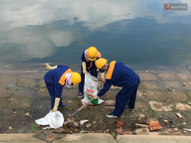 Hà Nội: Cá nặng cả cân chết bất thường ở hồ Linh Đàm, nhóm người thu dọn sạch sẽ trong đêm - Ảnh 9.