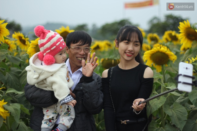Hàng trăm người kéo đến cánh đồng hoa hướng dương lớn nhất Việt Nam trước ngày khai hội - Ảnh 4.