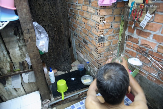 Lạ kỳ hàng cây cổ thụ trăm tuổi mọc xuyên nhà dân ngay trung tâm Sài Gòn - Ảnh 6.