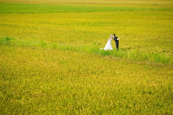 Những bộ ảnh cưới đẹp xuất sắc khi các cặp đôi nước ngoài sang Việt Nam chụp - Ảnh 30.