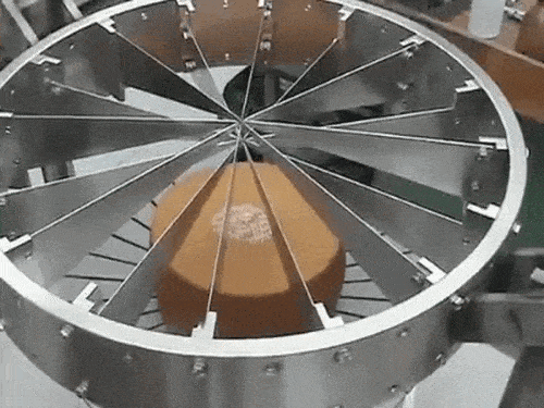 15 bức ảnh cắt gọt tỉ mẩn khiến bạn kh&ocirc;ng thể rời mắt - Ảnh 11.