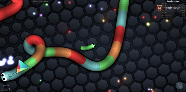 Thử ngay tựa game rắn săn mồi đang làm điên đảo thế giới ảo - Ảnh 1.