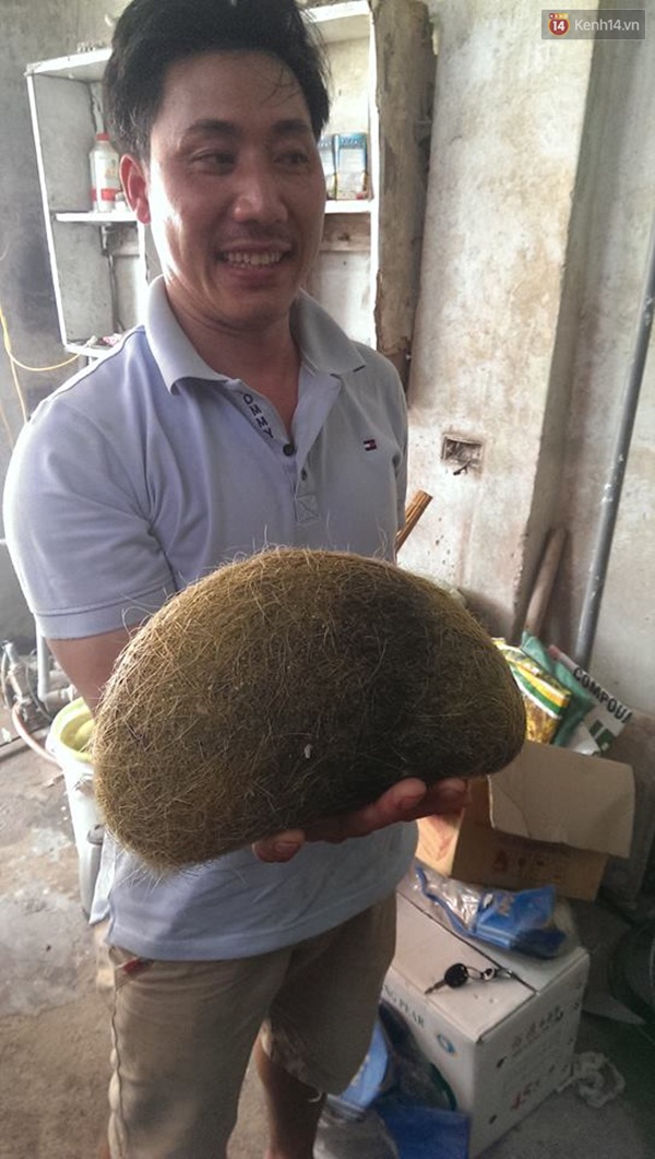 Hà Nội: Mổ heo ăn giỗ, phát hiện cát lợn khủng 2,8kg - Ảnh 2.
