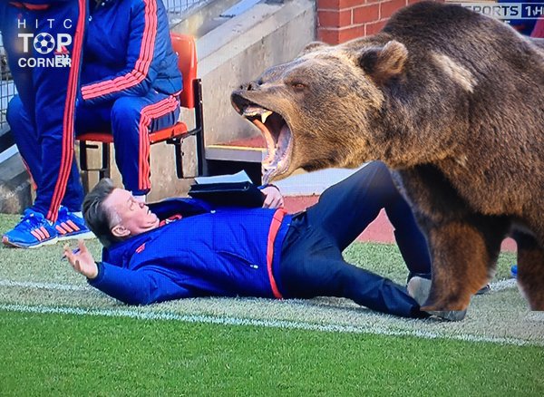 M&agrave;n lăn lộn h&agrave;i hước trước mặt trọng t&agrave;i của Van Gaal - Ảnh 5.