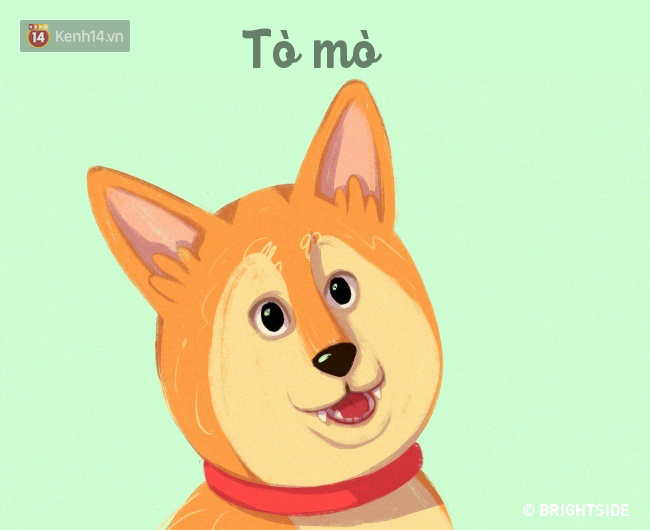 16 b&iacute; k&iacute;p nh&igrave;n ng&ocirc;n ngữ cơ thể ch&oacute; cưng, đo&aacute;n suy nghĩ - Ảnh 6.