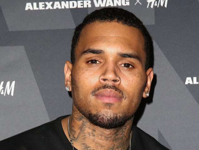 Chris Brown bị bắt giữ tại nhà vì cầm súng dọa giết Cựu Hoa hậu California - Ảnh 1.