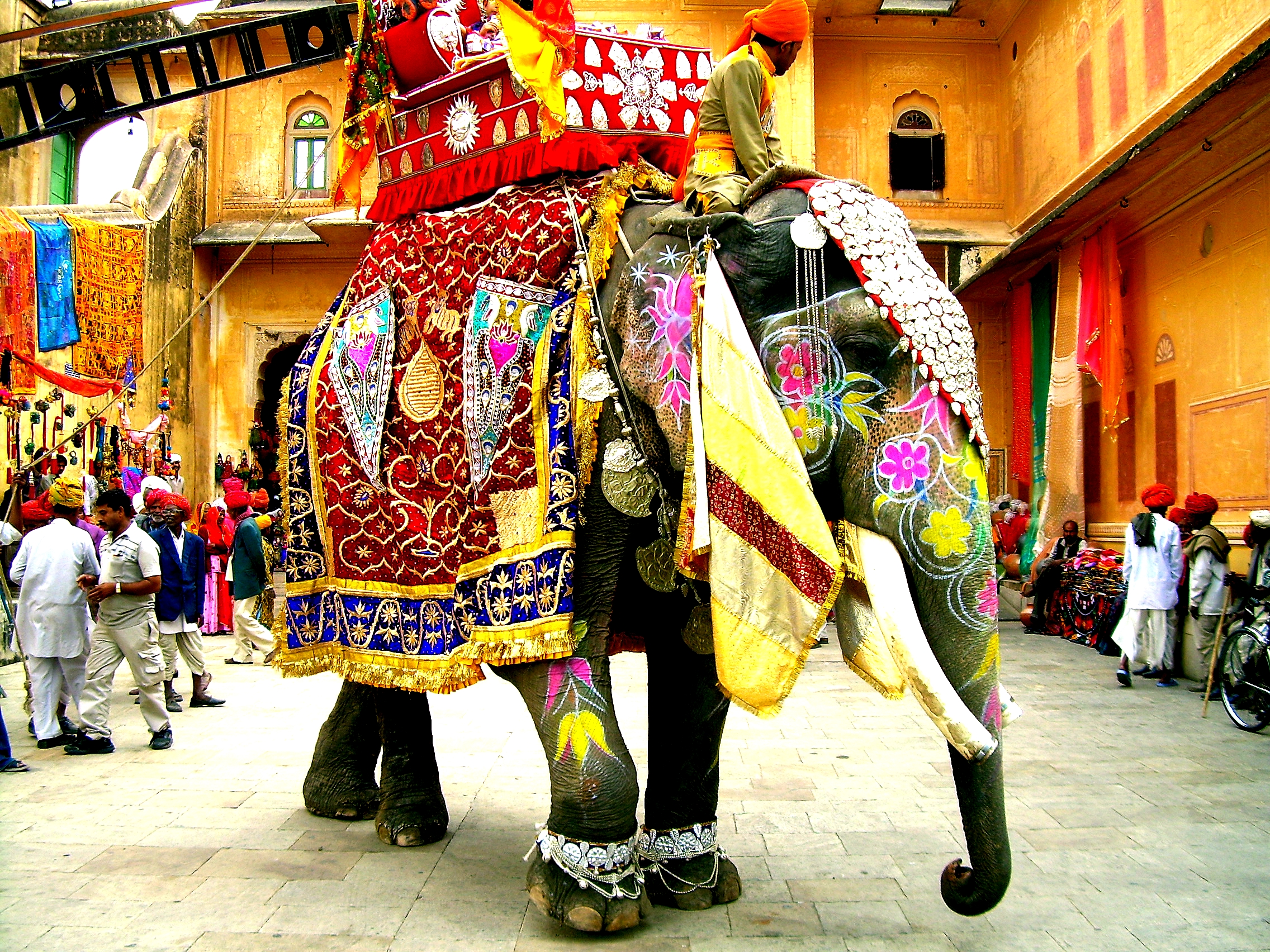 N I Au C A Nh Ng Ch Voi B Tra T N T I Nh Ng Ng I N Thi Ng N   Decorated Indian Elephant 1473064694708 