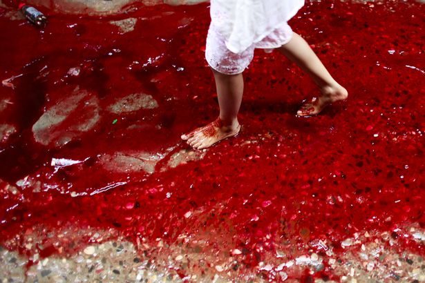 Đường phố nhuộm màu đỏ máu trong lễ hiến sinh của người Hồi giáo khiến ai cũng phải rùng mình - Ảnh 12.