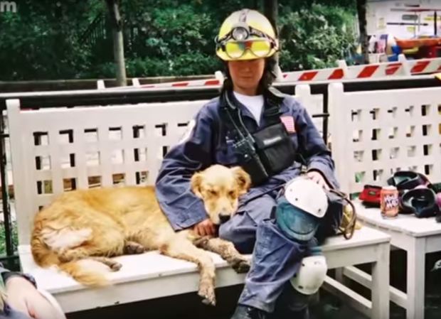 Vĩnh biệt chú chó anh hùng cuối cùng trong thảm họa 11/9 kinh hoàng của nước Mỹ - Ảnh 3.