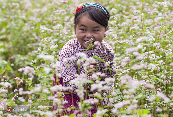 Chùm ảnh: Những đôi mắt, nụ cười rất trong của các em bé vùng cao - Ảnh 16.