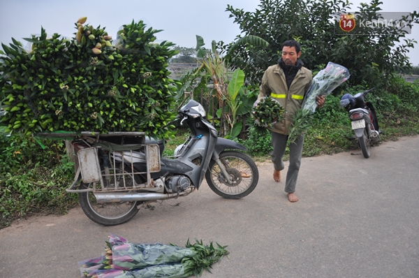 Dân mạng Hà Nội kêu gọi giúp nông dân Tây Tựu giải cứu hoa ly nở sớm - Ảnh 7.