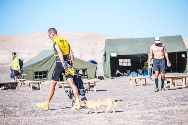 Cùng nhau vượt qua 124km chạy bộ trên sa mạc, cô chó đi lạc đã tìm được chủ mới cho mình - Ảnh 4.