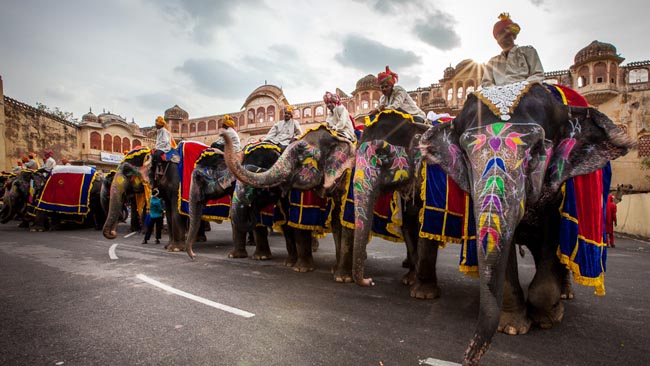 Bị trói nhốt, đâm mù mắt - Nỗi đau khôn cùng của những chú voi tại những ngôi đền thiêng Ấn Độ - Ảnh 4.