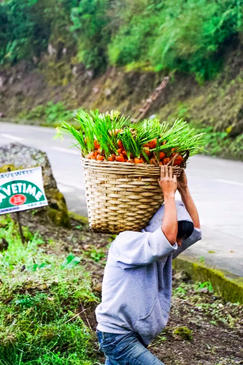 Ch&agrave;ng trai b&aacute;n carrot cực đ&aacute;ng y&ecirc;u khiến d&acirc;n mạng Philippines dậy s&oacute;ng - Ảnh 1.