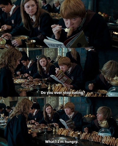 Ngắm loạt ảnh n&agrave;y đi, bạn sẽ phải m&ecirc; mẩn vẻ đẹp của em trai Emma Watson - Ảnh 5.