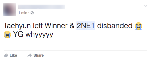 Người hâm mộ thế giới đồng loạt khóc lóc, réo gọi các thành viên sau tin 2NE1 tan rã - Ảnh 8.