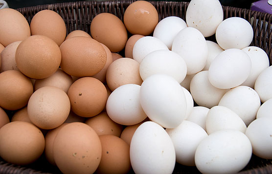 Vì sao trứng gà có hai màu và lý do thật bất ngờ - Ảnh 1.