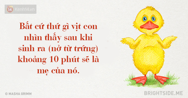 20 sự thật ngỡ là vô lý nhưng lại hoàn toàn đúng khiến bạn há hốc miệng - Ảnh 5.