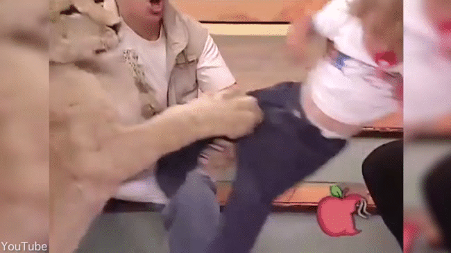 Khoảnh khắc kinh hoàng chú sư tử tấn công một em bé trên truyền hình - Ảnh 3.