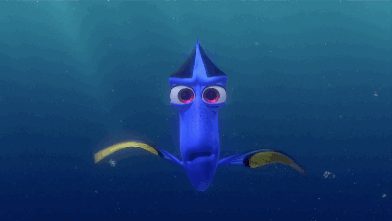 10 khám phá hay ho cần biết trước khi xem siêu phẩm Finding Dory - Ảnh 3.
