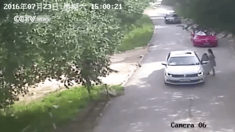Video: 2 phụ nữ Trung Quốc bị hổ vồ ngay khi ra khỏi ô tô, 1 người chết - Ảnh 3.