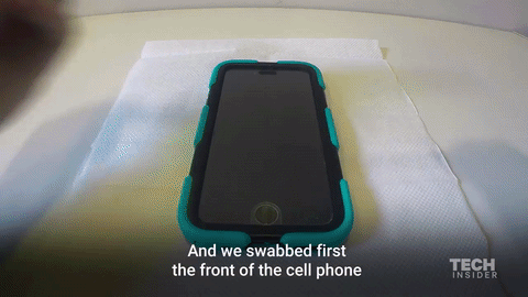 Dung nhan kinh tởm của những con vi khuẩn đang sống trên smartphone của bạn - Ảnh 3.