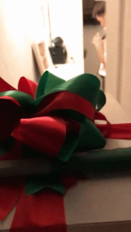 Màn tặng quà Noel siêu lãng mạn và hạnh phúc của cặp đôi đồng tính nam - Ảnh 2.