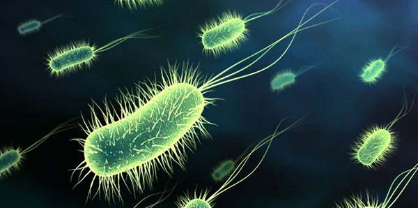10 vi khuẩn cần phải đề phòng khi thời đại kháng kháng sinh đã đến - Ảnh 1.