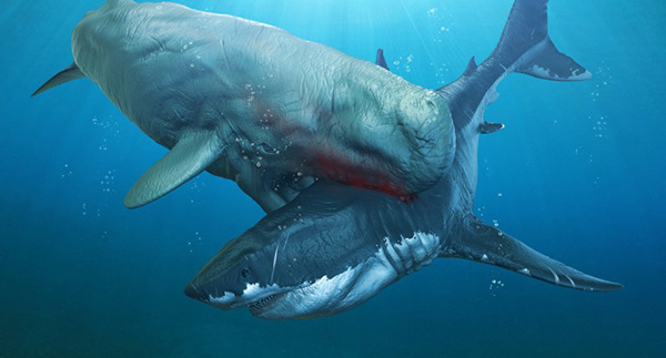 Quái vật cổ đại có khả năng giết cả siêu cá mập Megalodon - Ảnh 6.