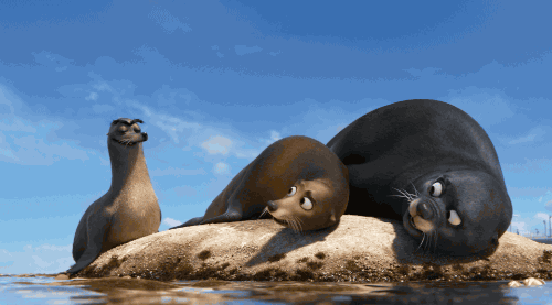 6 b&agrave;i học về cuộc sống m&agrave; Finding Dory mang lại cho kh&aacute;n giả - Ảnh 6.