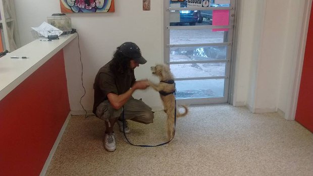 Cái kết viên mãn của người đàn ông vô gia cư xin tiền chuộc chó ra khỏi trung tâm động vật - Ảnh 3.