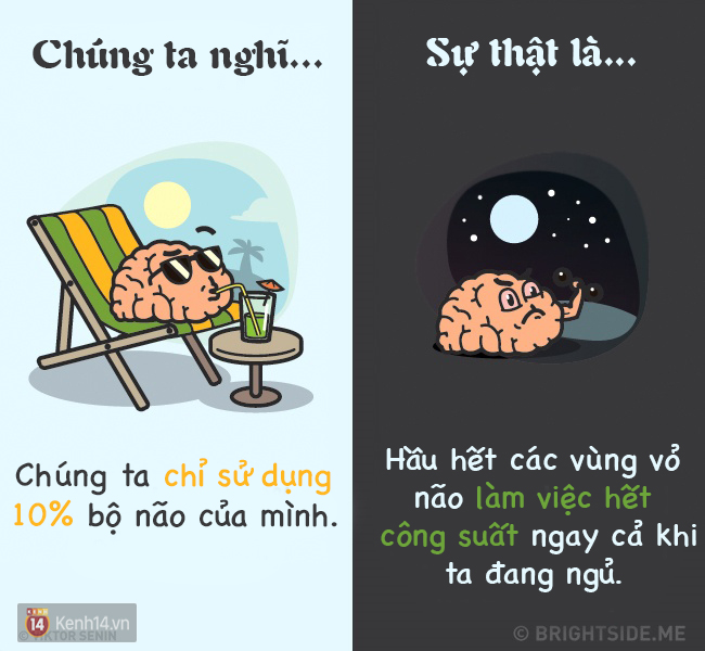 12 sự thật từ thú vị đến khó tin về cơ thể của chúng ta - Ảnh 1.