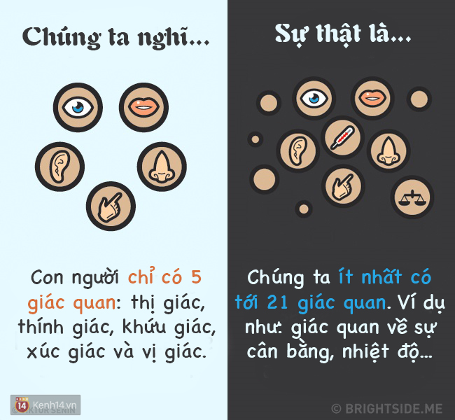 12 sự thật từ thú vị đến khó tin về cơ thể của chúng ta - Ảnh 8.