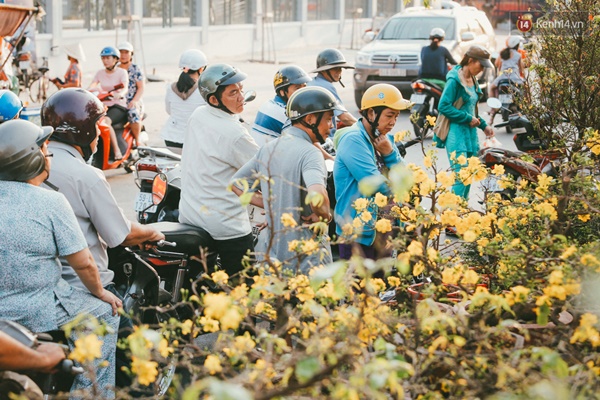 Người Sài Gòn cảm nhận không khí Tết rộn ràng khi hoa xuân cập bến Bình Đông - Ảnh 5.