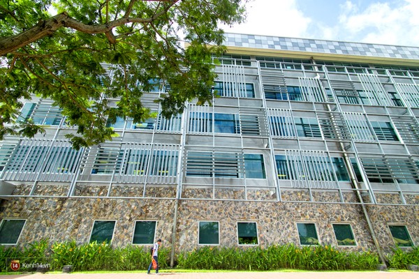 Cần điều kiện gì để có thể học Đại học ở trường Quốc Tế tại Việt Nam? - Ảnh 4.