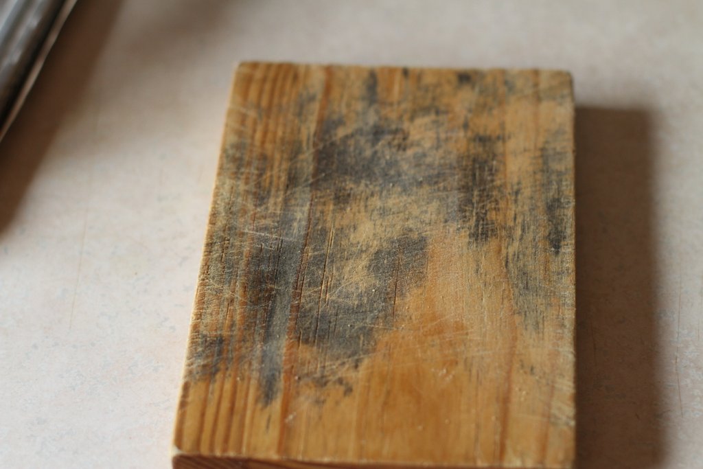 The Surefire Way To Successfully Remove Mold From Wood