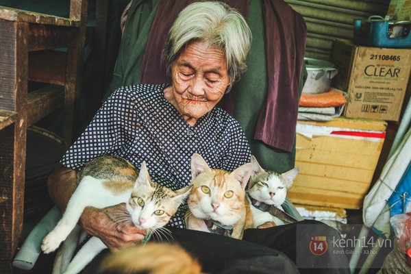 Sau tai nạn giao thông, cụ bà bán rau nuôi chó mèo ở Sài Gòn đã qua đời - Ảnh 2.