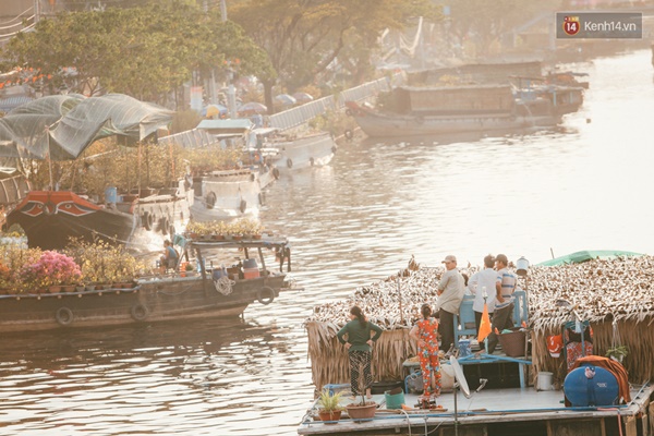 Người Sài Gòn cảm nhận không khí Tết rộn ràng khi hoa xuân cập bến Bình Đông - Ảnh 14.