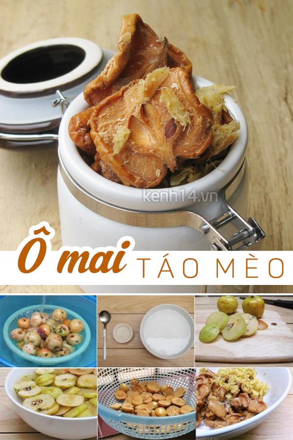 9 loại dù mai ngon mái ấm ai ai cũng tự động thực hiện được chẳng bồn chồn ô nhiễm - Hình ảnh 16.