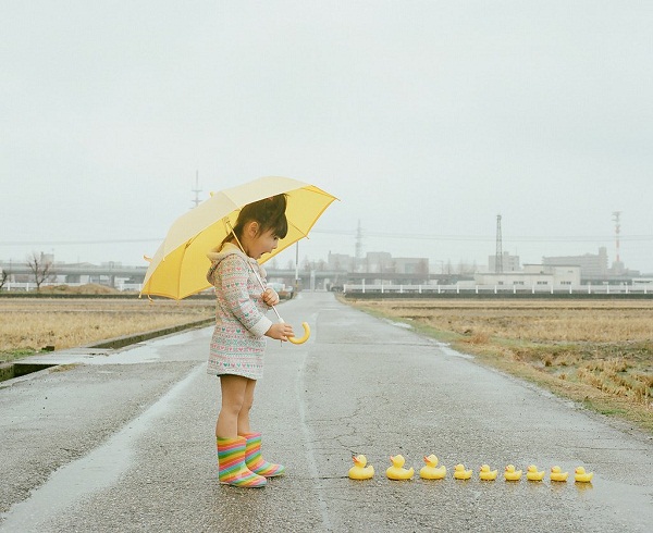 Đằng sau bức ảnh Gấu Trúc hư hỏng dùng để thông báo lỗi trên Flickr - Ảnh 7.