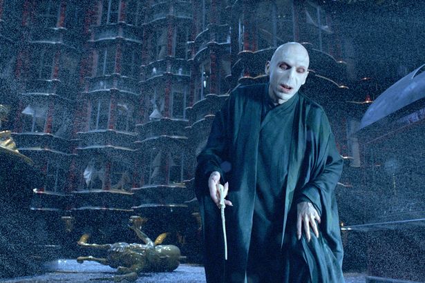 Khỉ con có khuôn mặt giống chúa tể Voldemort - Ảnh 5.