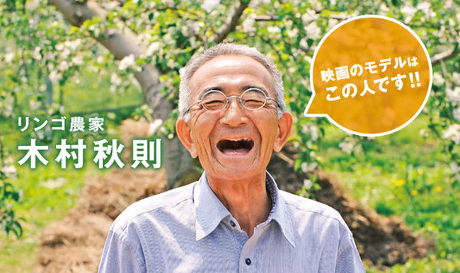 Vì tình yêu với vợ, cụ ông gàn dở nhất Nhật Bản đã dành 30 năm đi tìm cách trồng táo không thuốc trừ sâu - Ảnh 1.