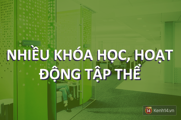 Những đặc quyền hạnh phúc chỉ dành cho nhân viên các tập đoàn công nghệ lớn - Ảnh 6.