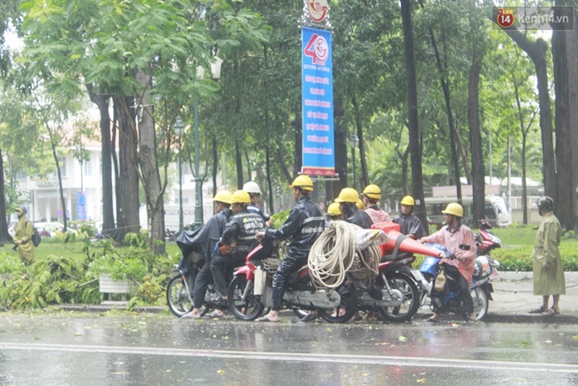 Mưa lớn kèm dông lốc, hàng loạt cây ngã đổ đè người đi đường ở Sài Gòn - Ảnh 3.