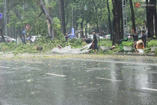 Mưa lớn kèm dông lốc, hàng loạt cây ngã đổ đè người đi đường ở Sài Gòn - Ảnh 5.