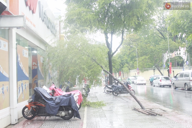 Mưa lớn kèm dông lốc, hàng loạt cây ngã đổ đè người đi đường ở Sài Gòn - Ảnh 6.