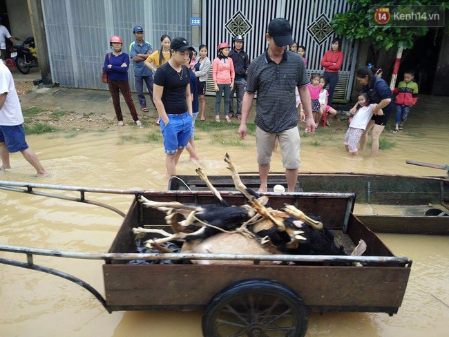 Nếu làm màu mà như cách của Phan Anh, Ngọc Trinh thì hãy làm đi, ngay và nhiều vào! - Ảnh 6.