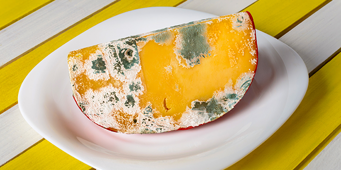 Xem chuyên gia hướng dẫn bạn cách để ăn được thực phẩm bị mốc - Ảnh 4. Xem chuyên gia hướng dẫn bạn cách để ăn được thực phẩm bị mốc - Ảnh 4.