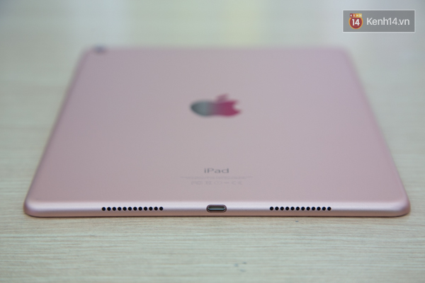Cận cảnh chiếc iPad Pro vàng hồng có camera lồi vừa về Việt Nam - Ảnh 6.